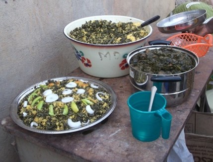 Moringa based dishes for sampling