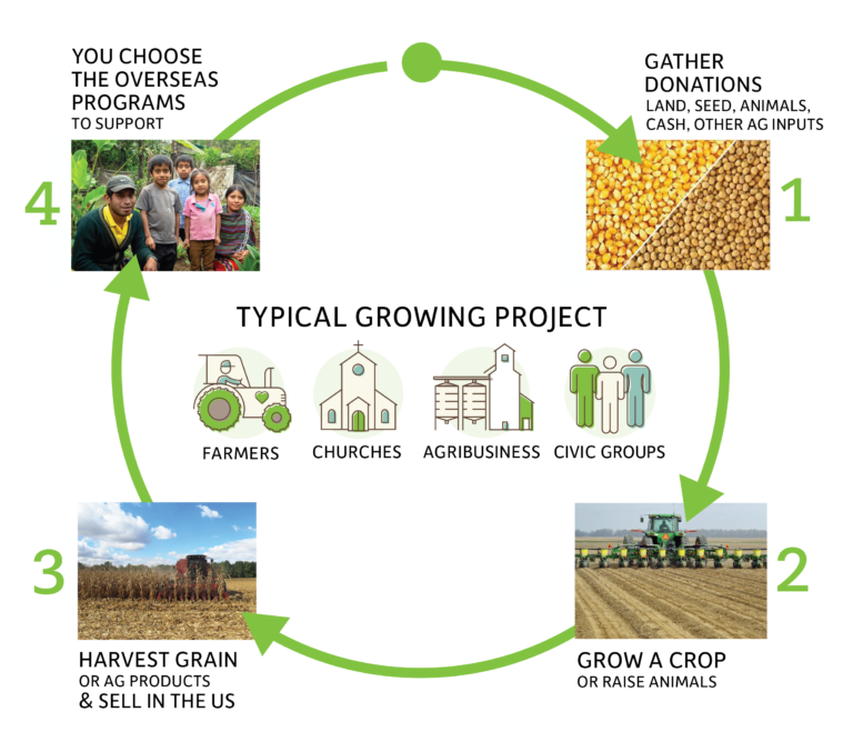 Project Growing Start a Growing Project - Growing Hope Globally